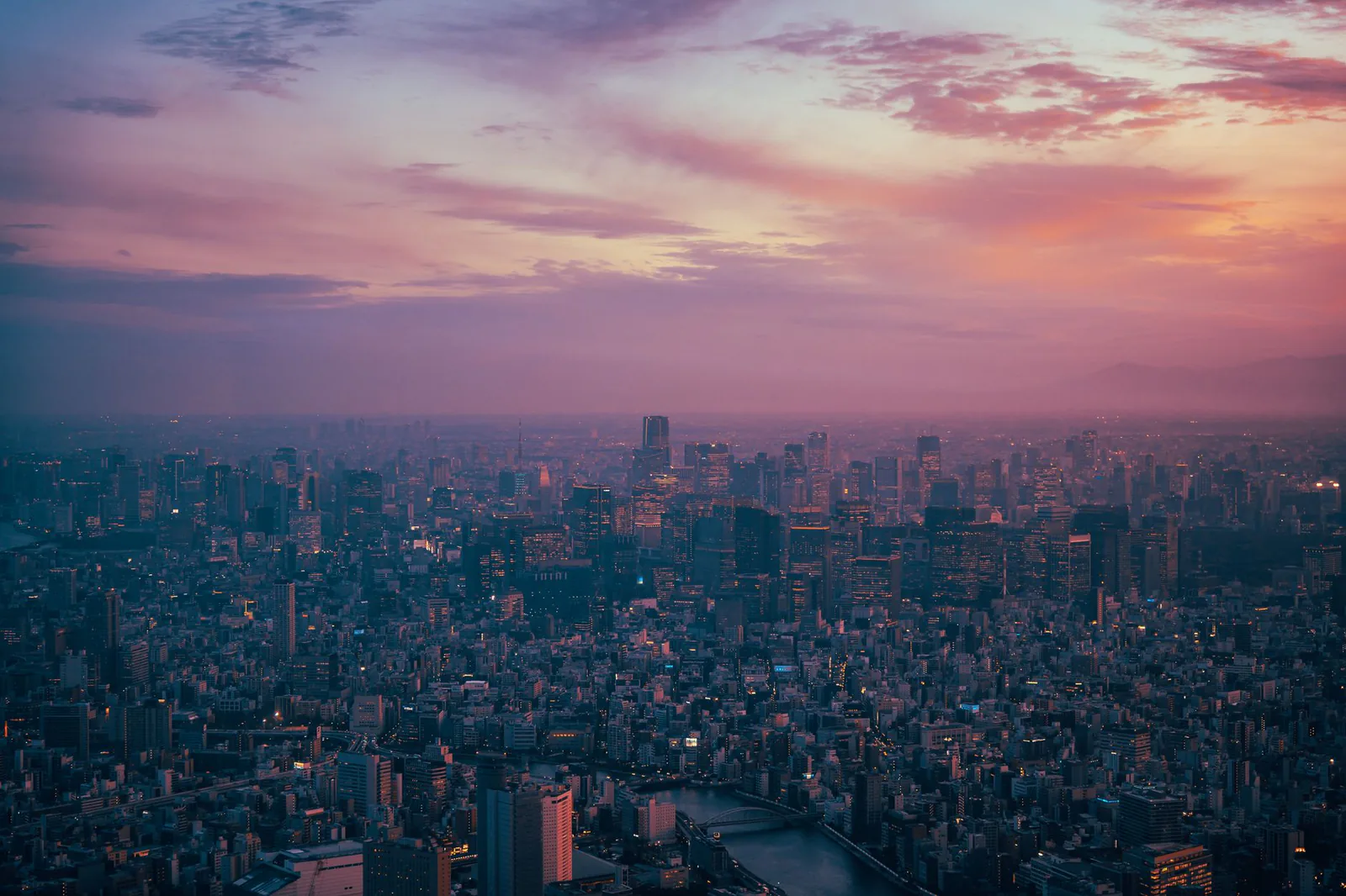 Tokyo skyline at twilight, Japan